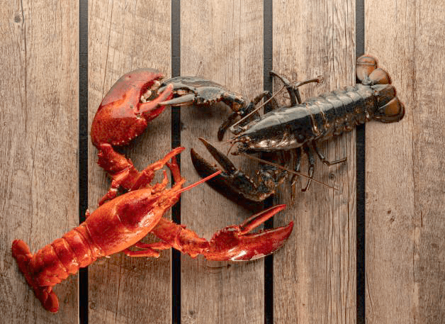 Seafood Seafood